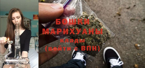 MESCALINE Аркадак